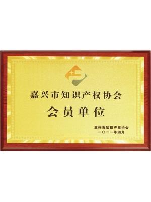 16-嘉興市知識(shí)產(chǎn)權(quán)協(xié)會(huì)會(huì)員單位